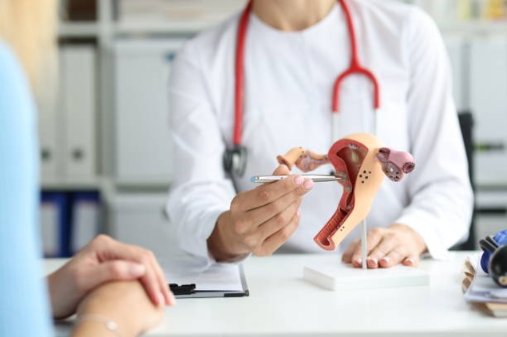 Gynaecology--------29